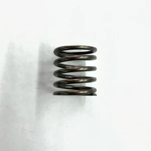 100146 OEM SPRING, HEAD VALVE, MCN65
